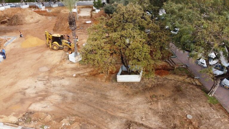 DCIM100MEDIADJI_0105