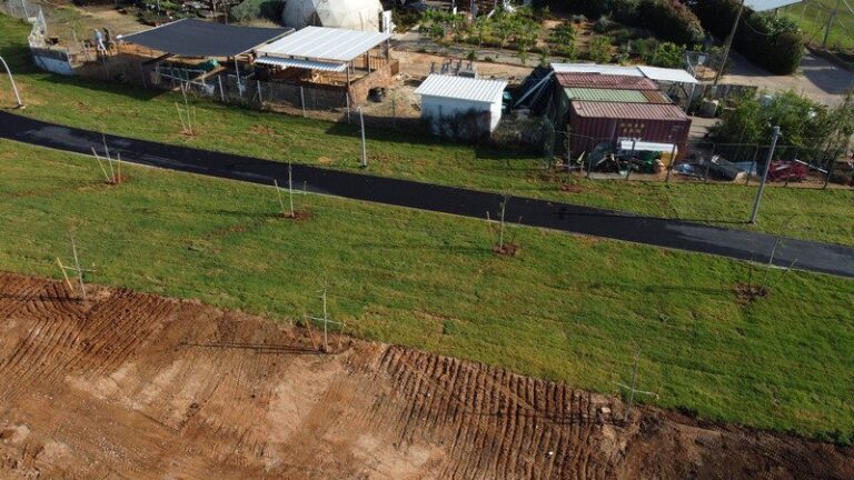 DCIM100MEDIADJI_0012