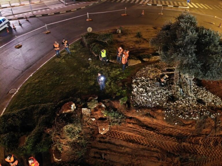 created by dji camera