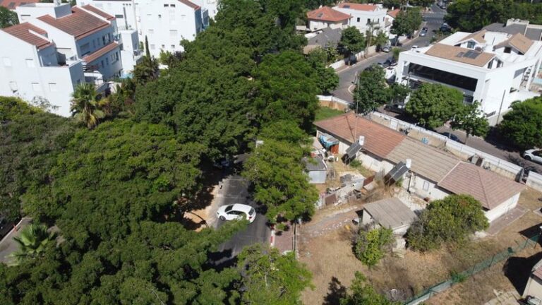 DCIM100MEDIADJI_0010