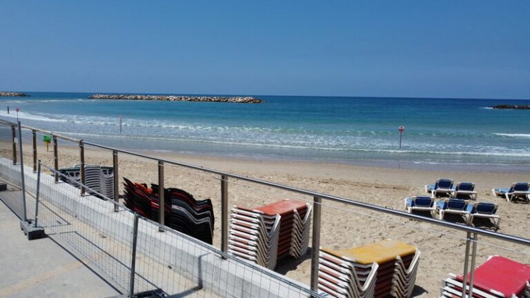 DCIM100MEDIADJI_0123