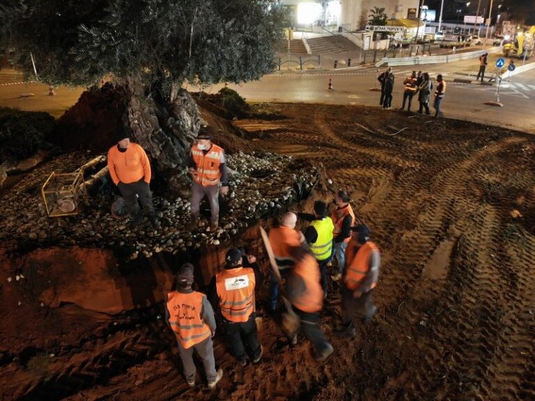 created by dji camera