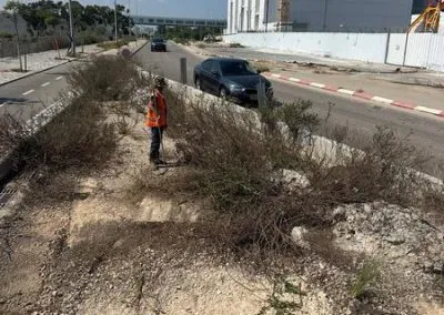 p-glilot00006-400x284